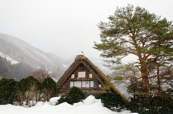 winter Shirakawago,Japan