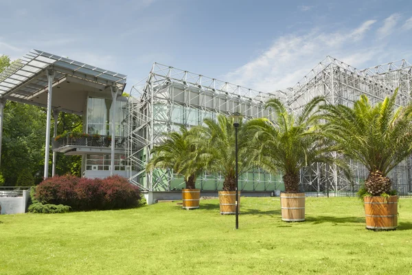 Polen, Schlesien, Gliwice, Palmenhaus — Stockfoto