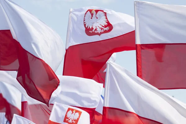 Wielu polskich flag Flying przed niebo — Zdjęcie stockowe