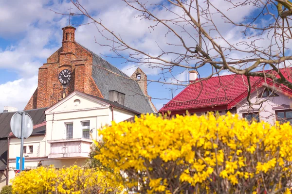 Polsko Wielkopolska Pobiedziska Tržní Náměstí Socha Forsythia Květu Martina Pozadí — Stock fotografie