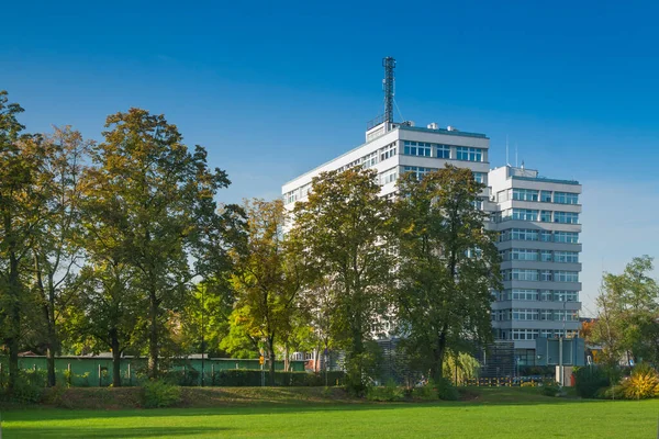 Polónia Alta Silésia Gliwice Verde Árvores Vistas Primeiro Plano Instituto — Fotografia de Stock