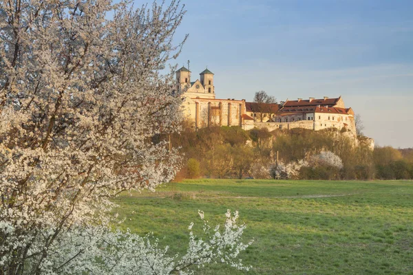 ポーランドのクラクフ近郊にあるティニエック ベネディクト修道院のヴィヴ — ストック写真