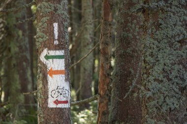 Polonya, gorce dağlar, işaretleri yanan iz