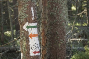 Polonya, gorce dağlar, işaretleri yanan iz