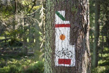 Polonya, gorce dağlar, işaretleri yanan iz