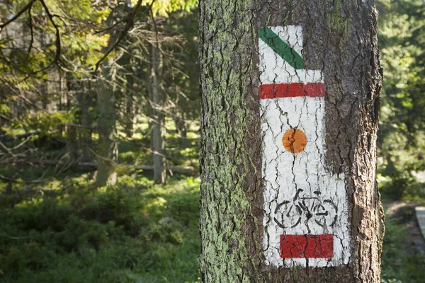 Polonya, gorce dağlar, işaretleri yanan iz