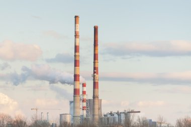 Polonya, Krakow, Kojenerasyon Tesisi