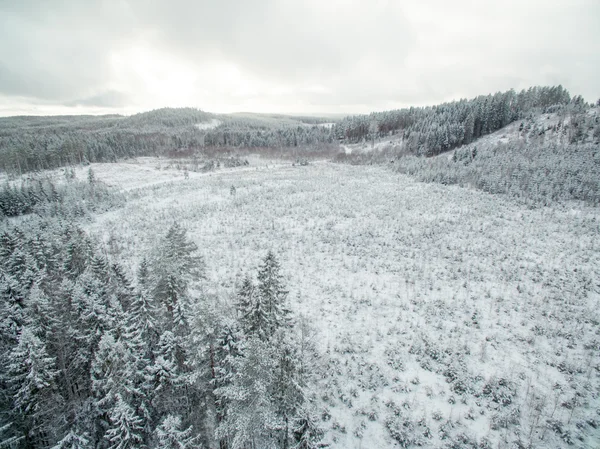 Zalesněný vrch v zimě — Stock fotografie