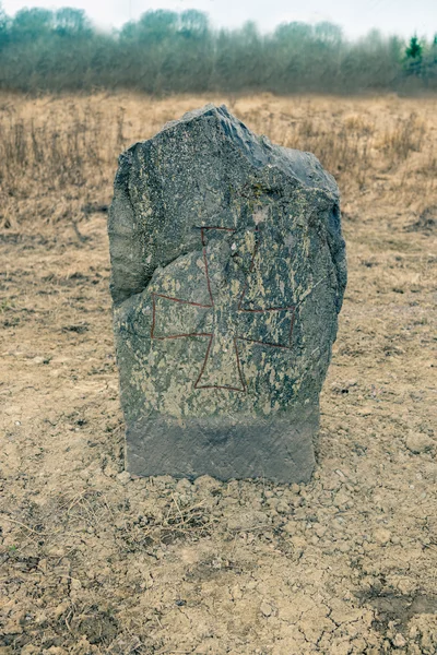 Ancient Swedish Runestone — Stock Photo, Image