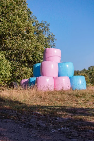 Velké kulaté balíky senáže — Stock fotografie