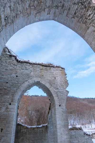 Ruinen des Alvastra-Klosters — Stockfoto
