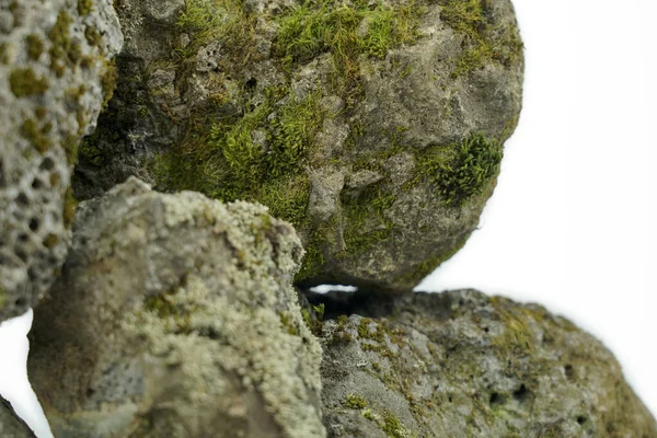 Alte Steine Auf Weißem Grund Mit Moos Überwachsen — Stockfoto
