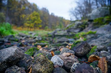 Taşlar derenin yakınındaki bir tepeye istiflenmiş. Yuvarlak taşlar. granit