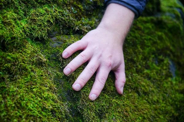 Mano Giace Una Grande Pietra Pietra Ricoperta Muschio Struttura Del — Foto Stock