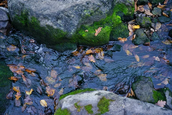 草は苔で覆われた石の上に生えます その石は川の中にある 石の近くに流れる水 — ストック写真