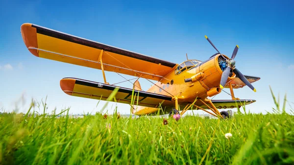 초원에 역사적 항공기 — 스톡 사진