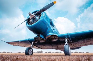 Çayırdaki tarihi uçak