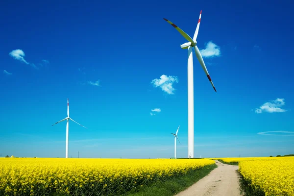 A zöld energia fogalma — Stock Fotó
