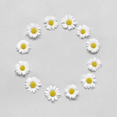 Çiçek kompozisyonu. Gri arka planda papatya çiçekli yuvarlak bir çelenk. Dizaynınız için şablon Üst Görünüm Düz Yat Kopyalama uzayı. Moda Renkleri 2021.