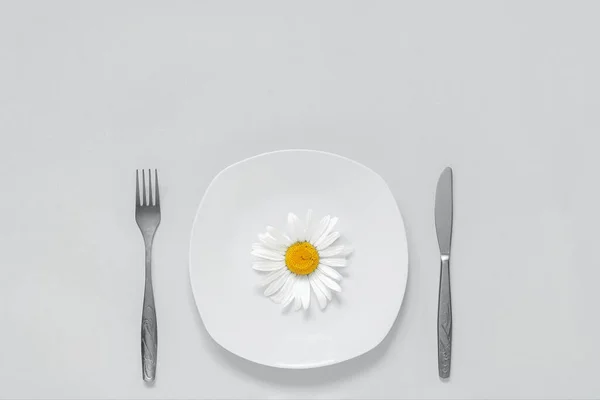 Une Fleur Camomille Sur Assiette Fourchette Couverts Couteau Sur Fond — Photo