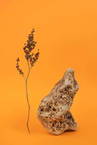 Διάταξη Από Μεγάλη Πέτρα Και Ξηρό Λουλούδι Πορτοκαλί Φόντο Εμπρόσθια — Φωτογραφία Αρχείου
