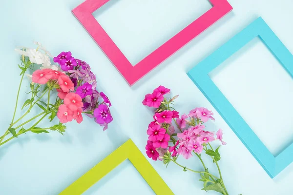 Layout Criativo Feito Flores Quadros Coloridos Brilhantes Azul Fundo Primavera — Fotografia de Stock