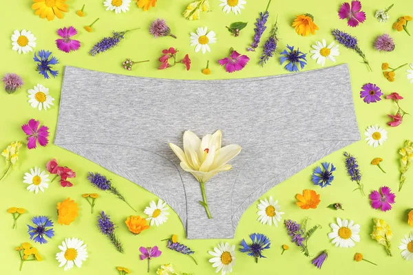 Grey Underpants Colorful Flowers Green Background Close Concept Keep Your — ストック写真