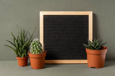 Motivasyon sözlerin, metnin ve kaktüs çiçeğin için yeşil arka planda boş bir mektup tahtası. Ön görünüm, Mockup.