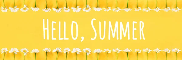 Hello Summer text and border from chamomile flowers on yellow background. Concept Welcome summer time. Banner.
