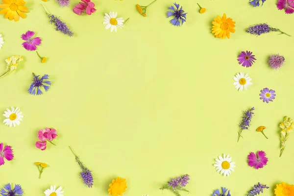Рамка Натуральних Барвистих Диких Квітів Зеленому Тлі Копіювальним Простором Весняний — стокове фото