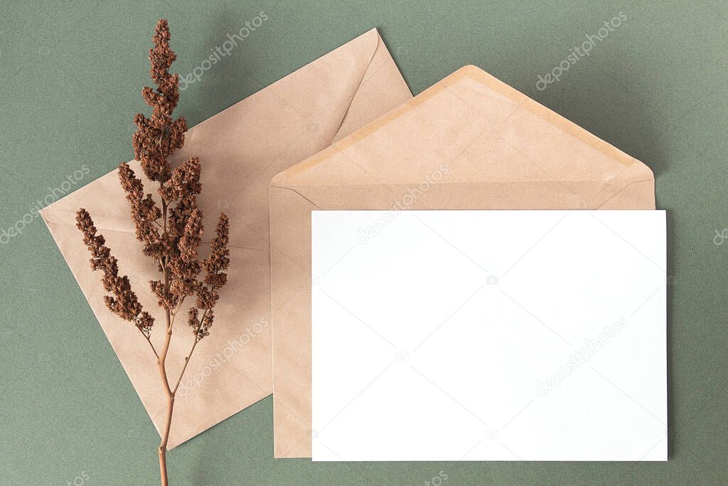 White blank card, craft envelope and dry flowers plant on green background. Top view Flat lay Mockup Copy space.