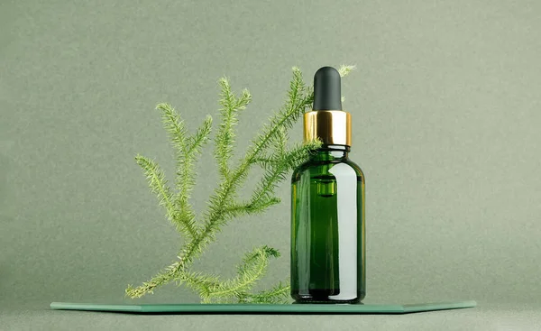 Una Bottiglia Vetro Contagocce Ramo Naturale Muschio Specchio Sfondo Verde — Foto Stock
