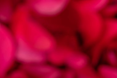 Soyut kırmızı bulanık arkaplan. Çiçeklerin odaksız doğal dokusunu kapat..