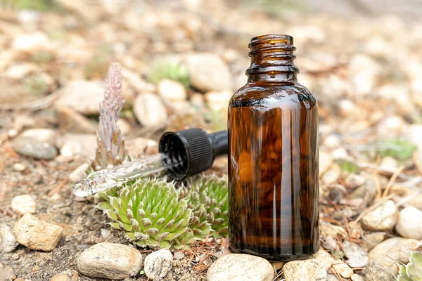 Una Bottiglia Contagocce Vetro Marrone Con Siero Olio Essenziale Altro — Foto Stock