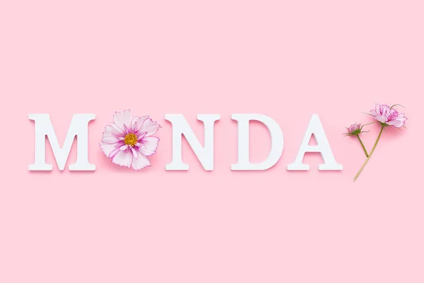 Monday Motivational Quote White Letters Beauty Natural Flowers Pink Background — Stock Photo, Image