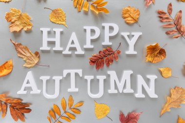 Beyaz harflerden ve gri arkaplandaki renkli yapraklardan mutlu sonbahar metinleri. Sonbahar tatili konsepti. Üst Görünüm Düz.