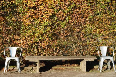 Antwerp 'te bir parkta dinlenme yeri.. 