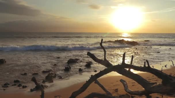 Puesta de sol en la orilla del mar — Vídeo de stock