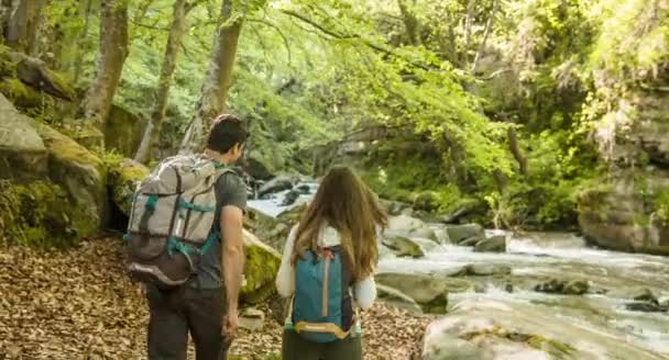 Senderistas explorando el bosque — Vídeos de Stock