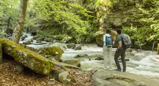 Vandrare att utforska skogen — Stockvideo