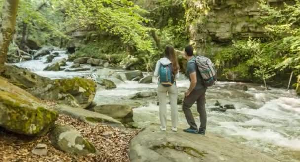 Caminhantes Explorando Floresta — Vídeo de Stock