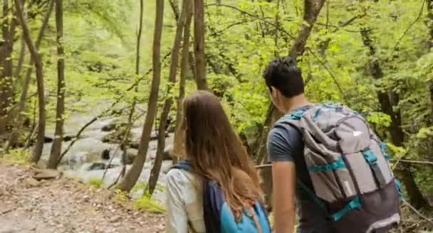 Caminhantes Explorando Floresta — Vídeo de Stock