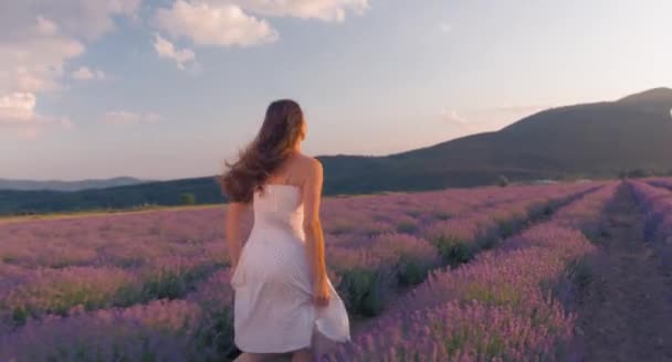 ラベンダー畑の上を歩く女性 — ストック動画
