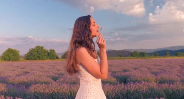 Vrouw lopen op Lavendel veld — Stockvideo
