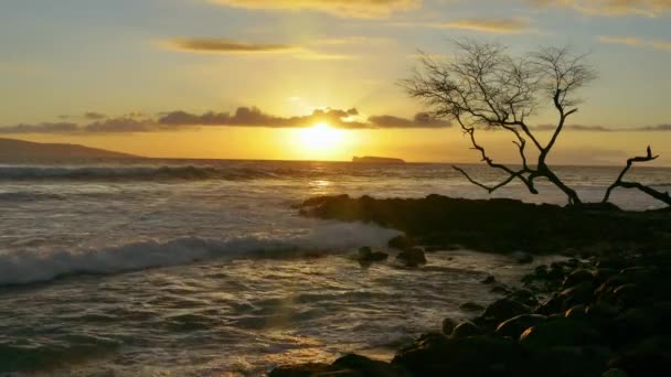 Hermoso paisaje marino, puesta del sol en el horizonte — Vídeos de Stock