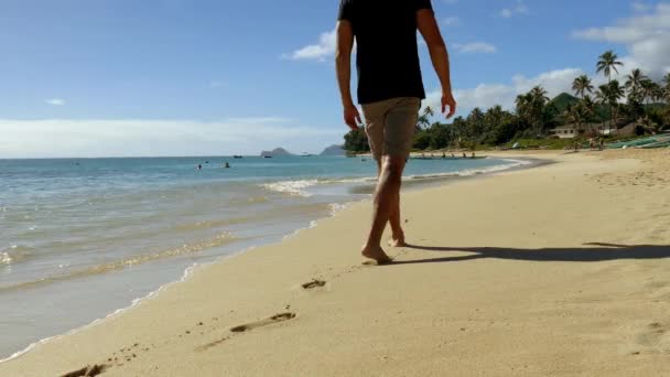 Homem andando na praia — Vídeo de Stock