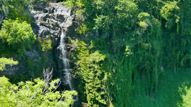 Vodopád v deštném pralese, krásná krajina — Stock video