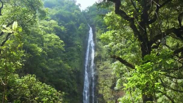 Vattenfall i skogen av Hawaii — Stockvideo