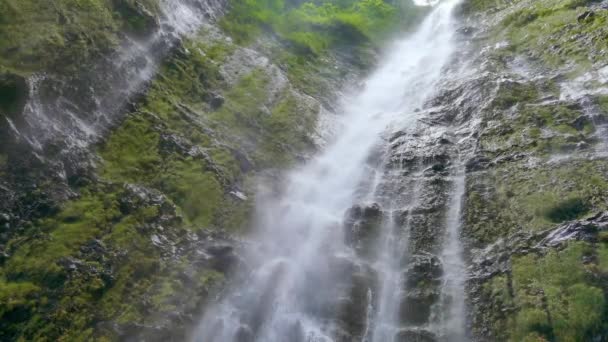 Rainforest táj gyönyörű vízesés — Stock videók