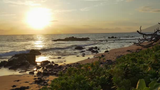 美丽的海景，在地平线上的日落风景 — 图库视频影像